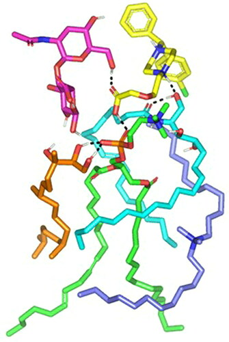 Figure 4. Predicted docking pose of LVC-PC binding complex. Stick 3 D-representation of LVC (yellow) loaded on PC interface (green), in presence of several CCPCs additives; ceramide (cyan), DDAB (blue), Phytanriol (orange), and HA (magenta). All introduced formulation additives served as either direct or indirect connecting/supportive platforms for favored anchoring of LVC within the drugphospholipid complex. Polar interactions (hydrogen bond) are represented as black dashed lines.Abbreviation: HA: hyaluronic acid; DDAB: dimethyldidodecylammonium bromide; PC: phospholipid; LVC: levocetirizine hydrochloride and CCPCs; cationic ceramide/phospholipid composite.