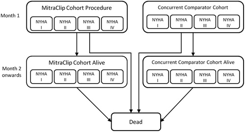 Figure 1. Simplified Schematic of the Model.