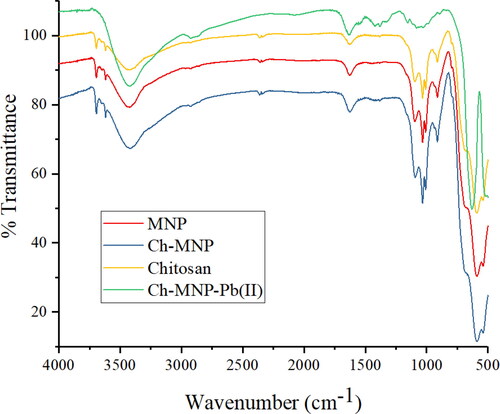 Figure 1. FTIR spectra of chitosan, MNPs, Ch-MNPs, and Pb (II) loaded Ch-MNPs [Citation16].