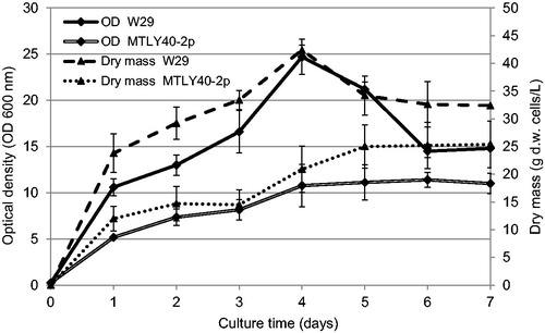 Figure 4. Growth curves of Yarrowia lipolytica W29 and MTLY40-2p in bioreactor.