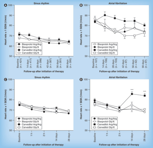 Figure 1. Heart-rate response to uptitration with the β-blockers bisoprolol (1.25–10 mg) or carvedilol (2 × 3.125–25 mg) in patients with chronic heart failure according to rhythm and β1-adrenoceptor genotype (Arg389Gly). (A & B) Resting heart rate at baseline (predrug), 14 (bisoprolol: 1.25 mg; carvedilol: 2 × 3.125 mg), 28 (bisoprolol: 2.5 mg; carvedilol: 2 × 6.25 mg), 42 (bisoprolol: 5 mg; carvedilol: 2 × 12.5 mg), 56 (bisoprolol: 10 mg; carvedilol: 2 × 25 mg) and 90 days (follow-up) after initiation of β-blocker therapy in patients with (A) sinus rhythm or (B) atrial fibrillation. Numbers in brackets indicate numbers of patients at the respective time points/dose level. (C & D) Resting heart rate at baseline (predrug), 1, 2 and 14 days after initiation of β-blocker treatment with the starting dose (bisoprolol: 1.25 mg; carvedilol: 3.125 mg) and after 28 days (bisoprolol: 2.5 mg; carvedilol: 2 × 6.25 mg) in patients with (C) sinus rhythm or (D) atrial fibrillation. Note that 25% of patients were pretreated with a β-blocker at <25% of target dose, likely explaining why carvedilol formally caused an increase in mean heart rate at 14 and 28 days after initiation of treatment in patients with atrial fibrillation ((B) and (D), respectively).***p < 0.0001 versus bisoprolol or Gly/X.Adapted with permission from Citation[12].