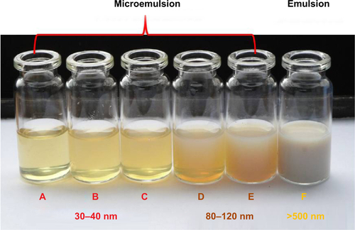 Figure S1 Transparency and corresponding particle size of various microemulsions containing different amounts of RH40.Notes: (A) 40%, (B) 35%, (C) 30%, (D) 15%, (E) 10%, and (F) 5%. The mixture of coix seed oil and VP16 (sample F emulsion formulation) with 5% RH40 was prepared by vigorous mechanical stirring for 30 minutes.