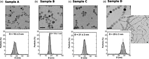Figure 5. TEM images of samples (a) A, (b) B, (c) C and (d) D together with their corresponding size distributions. Scale bar 50 nm.
