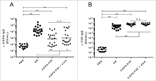Figure 2. Immunogenicity of S. Newport COPS:FliC in mice. Serum IgG titers for anti-S. Newport COPS (A) or FliC (B) from mice (n = 20/group) immunized with PBS, HK S. Newport or COPS:FliC conjugate, with or without aluminum hydroxide as an adjuvant. Each point represents an individual mouse. Solid bars indicate the GMT; comparisons between groups were accomplished by unpaired two-tailed Mann-Whitney. *P < 0.001, **P < 0.0001, N.S. – not significant