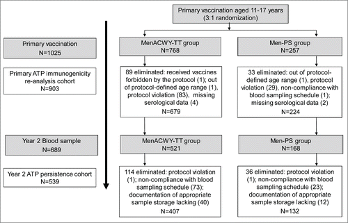 Figure 1. Study flow. The according-to-protocol (ATP) cohort for the primary vaccination study represents the cohort included in the re-analysis of data after elimination of subjects (protocol violations: N=112: 83 in the MenACWY-TT group and 29 in the Men-PS group) due to GCP violations.
