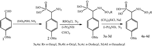 Scheme 1. Synthesis of diethylalkylsulfonamido(4-methoxyphenyl)methyl)phosphonate/phosphonic acid derivatives.