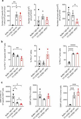 Figure 5. Analysis of tumor-infiltrating immune cells in tumor-bearing mice treated with TT1-E7E6 alone or in combination with anti-PD-1. TC-1 tumor-bearing mice were treated with TT1-E7E6 (1x106 RCV FFU i.v.) on Day 9, with or without anti-PD-1 (clone 29F.1A12, 200 µg/dose i.p.) on Day 9, 12 and 15 after tumor cell implantation. Tumors were extracted on Day 16 and analyzed by flow cytometry. (a) Absolute numbers of HPV16 E7-specific CD8+ T cells (live, CD45+B220−NKp46−CD11b−CD3+CD8+E7+), conventional dendritic cells (cDC) (live, CD45+CD64−F4/80−Lin−I-A/I-E+CD11c+CD26+) and tumor cells (live, CD45−) per gram (g) of tumor tissue. (b) Percentage of PD-1+ E7-specific CD8+ T cells, PD-L1+ cDCs and PD-L1+ tumor cells. (c) Expression of PD-1 (stained with clone RMP1-30) on E7-specific CD8+ T cells and of PD-L1 on cDCs and tumor cells. Geometric mean fluorescence intensity (GMFI). N=4 mice per group for buffer control and TT1-E7E6 groups, N=3 mice for TT1-E7E6/anti-PD1 group. Means ± SEM. One-way ANOVA to compare treatment to buffer groups and unpaired Welch`s t-test to compare both treatment groups. * p<.05, ** p<.01, *** p<.001, **** p<.0001.