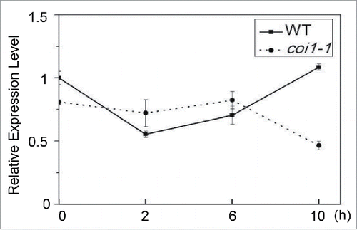 Figure 3. JA Treatment Cannot Induce MYC5 Expression in Arabidopsis. Quantitative real-time PCR analysis of MYC5 expression level using ACTIN8 as the internal control. After JA treatment, MYC5 expression was not significantly raised in WT compared to that in coi1-1, a JA receptor mutant. Each value is the mean (±SE) of three biological replicates.