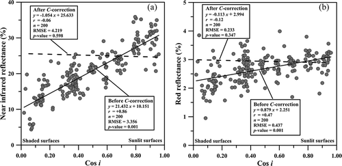 Figure 6. Relationships of the cosine of the incidence angle i with the (a) near-infrared and (b) red reflectance of seasonal deciduous forest for the RapidEye data acquired in 1 August 2013 (SZA = 48º). The relationships after topographic correction are indicated by the dashed fit lines. Symbols are omitted for better graphic representation.