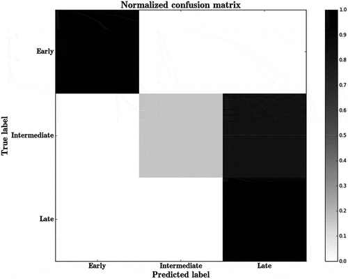 Figure 6. Confusion matrix predicting the classification of r-proteins as (i) early (ii) intermediate and (iii) late binders using RF. Scale represents the percentage of instances.