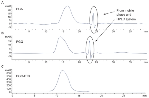 Figure 2 SEC-HLPC chromatograms of PGA, PGG, and PGG-PTX. The chromatograms were recorded at 228 nm. A) PGA; B) PGG; C) PGG-PTX.