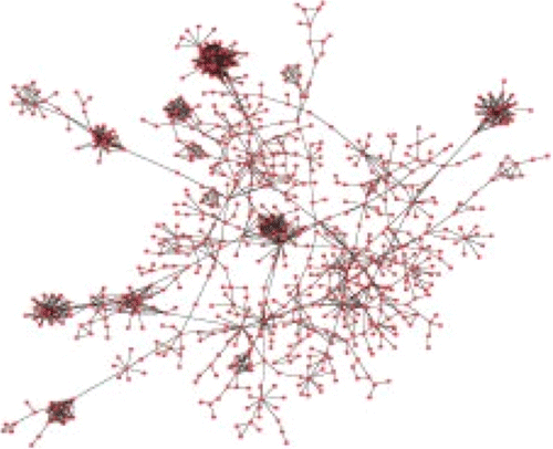 Figure 1. The main component of the FYI network (Han et al., Citation2004).