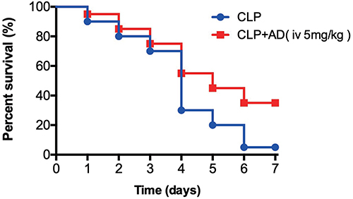 Figure 1 Andrographolide (AD) improved the postoperative 7-day survival of mice with cecal ligation and puncture (CLP)-induced sepsis (n = 20). After being subjected to CLP surgery, the mice were injected with sterile saline or AD through the tail vein immediately and 24 h after the operation, respectively. Then, the survival rates were monitored continuously for 7 days. Statistical difference was determined using the Log rank test. Each group had 20 mice, and all experiments were duplicated three times.