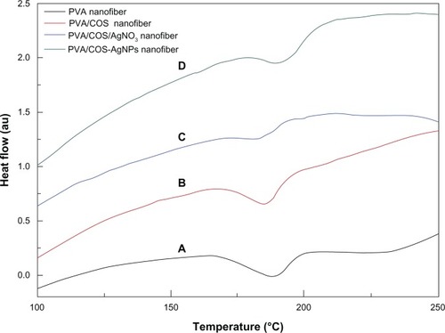 Figure 5 Differential scanning calorimetric thermograms for the (A) PVA nanofiber, (B) the neat PVA/COS nanofiber, (C) the PVA/COS/AgNO3 nanofiber, and (D) the PVA/COS-AgNP nanofiber.Abbreviations: AgNP, silver nanoparticle; COS, chitosan oligosaccharide; PVA, poly(vinyl alcohol); au, arbitrary units.