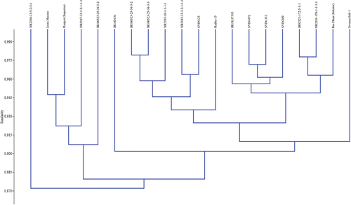 Figure 8. Dendrogram illustrating the similarity index among various rice accessions based on diverse panicle traits.