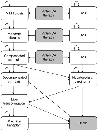 Figure 1. Markov model diagram. Background mortality is included in every state of the model. SVR, sustained virologic response; HCV, hepatitis C virus.