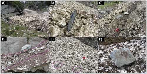 FIGURE 3. Typical features of dirty avalanche deposits: (A) Looking up the Guggigraben from near the fan apex (spring 2010); boulders and tree branches transported by avalanches can be seen on the fan surface and within the melting deposit. (B) Large boulder transported by a dirty avalanche; note also the characteristic “snowball” structure of the deposit. (C) Dirty avalanche deposits filling the main channel on the fan (2010), with a high density of debris deposited in the foreground. (D) Within the bedrock gully above the fan, sediment can become concentrated along the gully walls during snowmelt; see outlined region (2011). Boulder #20 shown was initially deposited with flat face upward, and migrated to the channel wall and was overturned during snowmelt; the boulder is roughly 90 cm long. (E) Typical “snowball” structure and appearance of dirty avalanche deposits; four large boulders are circled (see shovel for scale). (F) Large boulder transported by a wet snow avalanche in spring 2009; the boulder is 89 cm long and shows signs of impact during transport.