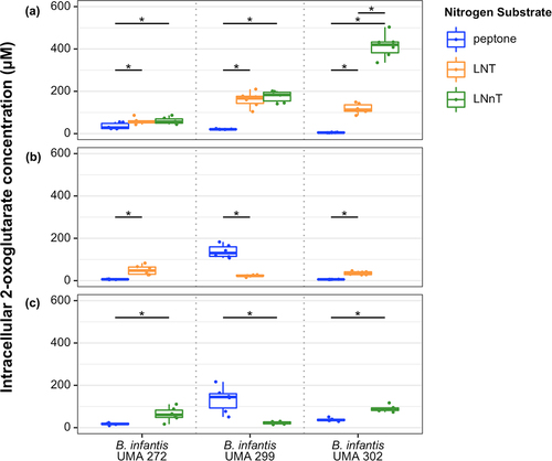 Figure 3. B. infantis intracellular 2-OG concentrations while B. infantis utilizes LNT, LNnT, or peptone nitrogen. Data are grouped into three panels according to carbohydrates fermented in the presence of a defined nitrogen: (A) lactose, (B) LNT, (C) LNnT. Adjusted P < 0.05 was designated significant.