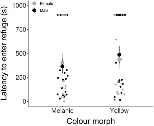 Figure 5. Refuge-seeking behaviour (the latency to enter a refuge in seconds) for melanic (nfemale = 9, nmale = 11) and yellow (nfemale = 8, nmale = 9) Hemideina maori during 15-minute trials. If wētā failed to enter the refuge during the trial, latency was recorded as 900 s. Means for females (shown in gray) and males (in black) and standard error of means are represented.