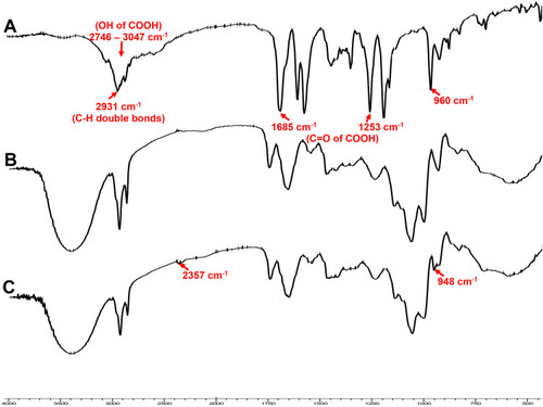 Figure 7 FTIR spectra of (A) VA, (B) optimized GA-CACNP system and (C) GA-CACNP/VA system.