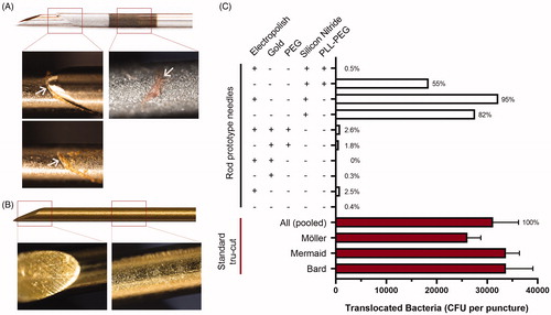 Figure 2. Effect of physical properties and needle coating on bacterial translocation in a pilot experiment. (A) Representative images of a standard Tru-Cut biopsy needle (Mermaid 18 G) after a puncture through a simulated colon. Left images show the gap between the inner and outer needle in a closed (top) and opened (bottom) state. Right image shows the rough, highly echogenic area, used for enhancing ultrasound reflection and visualization of the needle within the body in other types of biopsy. The highly echogenic area has no use in TRbx because a needle guide is used to locate the needle tip. Arrows indicate areas of visible faecal matter and tissue collection. (B) Gold + PEG coated rod prototype needle after puncture of a piece of meat covered in faecal matter, simulating the rectal wall. No foreign matter was visible at this magnification. (C) Number of bacterial colonies translocated when a piece of meat covered in faecal matter was punctured with three different standard Tru-Cut needles and ten versions of the rod prototype needle with different combinations of surface coatings. The average bacteria translocated by all three standard needles (pooled) was set to 100% and the percentage translocated by each rod prototype needle was calculated relative to this number.