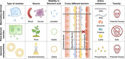 Figure 1 Priorities of plant-derived vesicles compared to mammalian-derived exosomes and liposome nanoparticles.