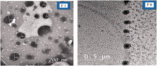 Figure 1. TEM images of optimized nanocapsules (F1, F6).