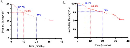 Figure 2. AVF survival curves after 6-, 12-, and 24-months follow-up. (a) Primary patency. (b) Secondary patency.