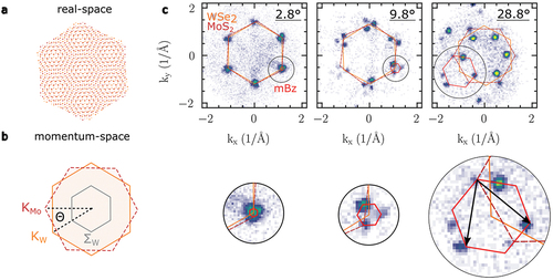 Figure 8. Moiré superlattice hallmark imprinted onto the momentum-resolved photoemission signal from interlayer excitons. (a) The rotational misalignment of two hexagonal lattices leads to the formation of an emergent moiré superstructure in real-space. (b) Translated to momentum-space, the moiré superlattice results from the rotational misalignment of the hexagonal Brillouin zones by a twist-angle Θ. (c) Momentum-momentum-resolved photoemission data originating from the break-up of interlayer excitons taken on WSe2/MoS2 heterostructures with twist angles of 2.8∘, 9.8∘, and 28.8∘ (from left-to-right). The momentum map is taken at the energy of the interlayer exciton (cf. red EDC in Figure 6b). The top row shows the full momentum-range that is accessible in the photoemission experiment, the bottom row shows blow-ups of the black circled areas. With increasing twist-angle, the length of the moiré lattice vectors (black arrows) and the size of the moiré mini Brillouin zone (red hexagon) becomes larger. The 9.8∘ and 28.8∘ data is reproduced and adopted from ref.  [Citation50] (Copyright 2022, Nature Publishing Group) and ref.  [Citation54], respectively. The 2.8∘ data was taken in the Göttingen ultrafast momentum microscopy laboratory by D. Schmitt, J.P. Bange, and W. Bennecke from a sample prepared by A. AlMutairi and S. Hofmann and has not been published elsewhere.