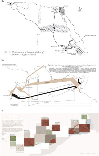 FIGURE 6 Continued.