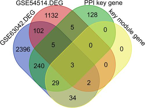 Figure 4 Screening of biomarkers.