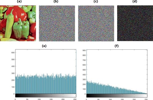 Figure 10. Key sensitivity analysis for encrypted pepper image with a slight change in one of the secret keys.