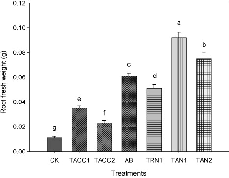Figure 2. Comparative effectiveness of ACC-deaminase and/or nitrogen-fixing rhizobacteria on root fresh weight of tomato. Different letters (a–g) on bars indicate significant differences of mean values for root fresh weight. Bars represent standard errors.CK, control; AB, Azotobacter