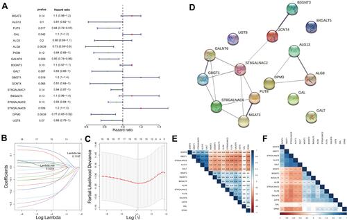 Figure 2 GTs-related genes associated with prognosis in ovarian cancer. (A) Forest plot with P-value <0.2 in univariate Cox analysis. (B) A model was constructed after LASSO cox regression analysis. (C) LASSO deviance diagram. (D) protein–protein interaction of 15 candidate genes. (E) Person correlation analysis between 15 candidate genes. (F) P-value of Pearson correlation analysis. In E and F, the color of each square indicates the correlation between genes on the corresponding X and Y axes. Blue represents positive correlation, red represents negative correlation, and the darker the color, the stronger the correlation. In E, the number in each grid represents the Pearson correlation coefficient between the corresponding genes. In F, asterisk indicator in each grid represents the significance p value of the correlation of the corresponding genes, *Represents P < 0.05, **Represents P < 0.01, and***Means P < 0.001.