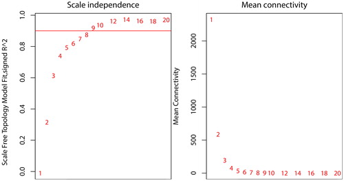 Figure 2. Network topology constructed with the WGCNA package from R to evaluate the soft-thresholding power. The numbers in the figure show the corresponding soft-thresholding powers. The scale-free topology model indicates that the soft-thresholding power of 9 is optimal.