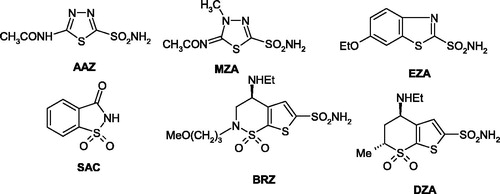 Figure 1. Clinically used sulfonamides with CA inhibitory activityCitation1–3.