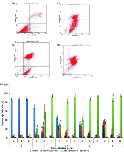 Figure 3. Annexin V-PI flow cytometry analysis of HSC-4 cell lines treated with various concentration of AgNps-CN at 2–8 h of treatment time. Different stages of cells were shown such as viable cells, early apoptosis stage and late apoptosis stage. Data presented were expressed as mean ± SD. *p < .05 compared to untreated cells. Diagram (b), (c) and (d) represents flow cytometry data of HSC-4 cell lines when treated with 3 µg/mL of AgNps-CN at different incubation treatment time. (a) Untreated HSC-4 cell lines, (b) HSC-4 cell lines after 2 h treatment, (c) HSC-4 cell lines after 4 h treatment and (d) HSC-4 cell lines after 8 h treatment, (e) Analysis of Annexin V-PI after treated with 0 µg/mL, 1 µg/mL, 1.5 µg/mL, 2 µg/mL and 3 µg/mL of AgNps-CN for 2, 4 and 8 h.