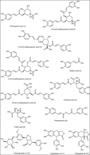 Figure 5. The chemical structures of the phenolic compounds from P. Japonicous.