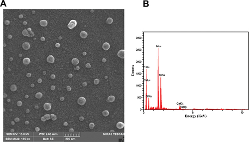 Figure 4. Analysis of morphology and elements distribution. (A) the FESEM analysis of synthesized SeNPs revealed uniformly distributed round shaped particles with an average size of around 50 ± 1.23 nm. (B) EDX-synthesised SeNPs’ elemental distribution.