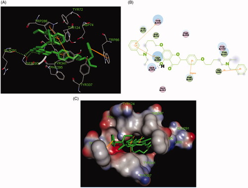 Figure 5. (A) Compound 7k (green stick) acted on residues in the binding site of huAChE (PDB code: 4ey4). (B) 2 D docking model of 7k with huAChE. (C) 3 D docking model of 7k with huAChE.