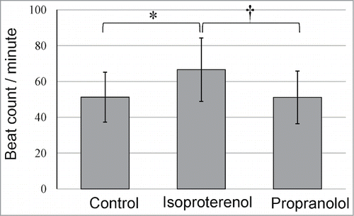 Figure 4. Effect of isoproterenol and propranolol on the beat rate of cardiac muscle cells differentiated from the upper part of the hair follicle. * P < 0.01 vs control, †P < 0.01 vs isoproterenol.