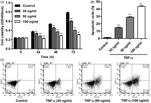 Figure 1. TNF-α inhibited cell viability and induced apoptosis of HNPC. HNPC were treated with different concentrations of TNF-α (30, 50 and 100 ng/ml), and the cell viability (A) and apoptosis (B,C) was measured using CCK-8 and flow cytometry assay, respectively. **p < .01 compared with control.