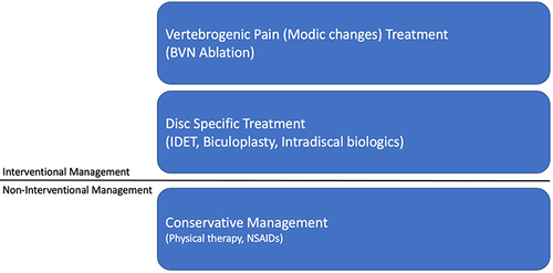 Figure 5 Potential management options for vertebrogenic pain.