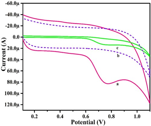 Figure 7. CV depiction of PYX in 0.2 M PBS (pH 6.0) at UGCPS (curve c) and at PGMGCPS (curve a), only PBS at PGMGCPS (curve b) at a scan rate of 0.1 V/s.