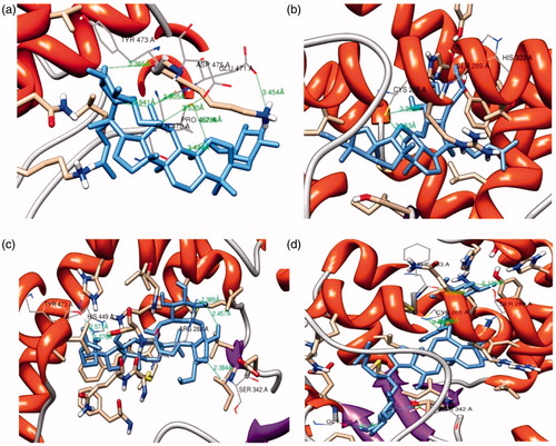Figure 1. Ginsenosides and amino acid residue hydrogen bond formation. Complex structures of (a) F2, (b) Ck, (c) Rg3 and (d) Re with the PPARγ active site residue after bond formation.