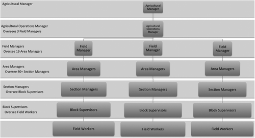 Figure 1. Field hierarchy structure (not to scale). Source of data: Author interviews, 2014.