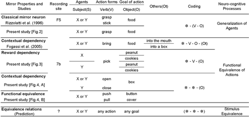 Figure 1.  Summary of observed and predicted properties of mirror neurons in premotor (F5, from Rizzolatti et al., Citation1996 and Figure 2) and inferior parietal cortex (7b, from Fogassi et al., 2005, Figure 3, and Figure 4). Each action sequence can be analysed and described by agents (X, Y, general form in “S”, like subject), action forms (A, B, general form in “V”, like verb), goal of action (objects, general form in “O”), and other variables (others, general form in “Ot”). These elements are expressed in symbols as shown in the “Coding” column. In this column, “*” denotes compatibility with any substitutes. Elements in parentheses indicate that these must be specific, not compatible with any substitutes. Possible “Neuro-cognitive processes” are proposed in the rightmost column. The bottom row depicts our predictions based on these results, suggesting that when mirror neurons with five different properties are integrated into a system, the “Equivalence relations” will emerge in the brain to produce a human-like flexible linguistic system.