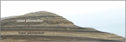 Figure 4. Panoramic field photo looking approximately northwest at the Pisco Formation. As viewed from a distance, rocks of the Cerro Colorado lower allomember are seen to dip approximately 10–12° to the NE, about 2–3° steeper than the gently dipping rocks of the upper allomember. This indicates the presence of a low-angle angular unconformity (white dot-dashed line) that formed by tilting and erosion of the lower allomember rocks, prior to deposition of upper allomember strata.