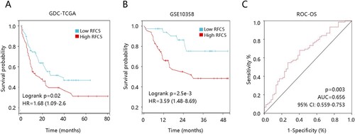 Figure 2. The prognostic significance of RFC5 in acute myeloid leukemia. (A) High RFC5 expression predicts poor overall survival of patients using GDC TCGA-LAML data. (B) Verification of the prognostic value of RFC5 using the GSE10358 dataset. (C) Receiver operating characteristics curve using GDC TCGA-LAML data.