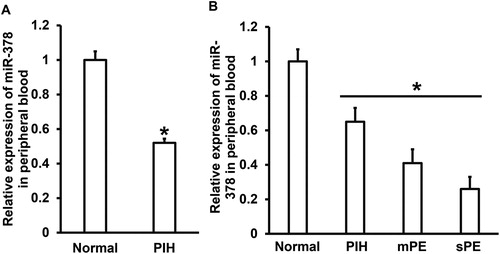 Figure 1. Expression of miR-378 in peripheral blood and its clinical relevance. (A) Relative expression of miR-378 in normal subjects and PIH patients. *, P < 0.05 compared with normal subjects. (B) Relative expression of miR-378 in peripheral blood of normal subjects and patients with PIH, mild preeclampsia (mPE) or severe preeclampsia (sPE). *, P < 0.05.